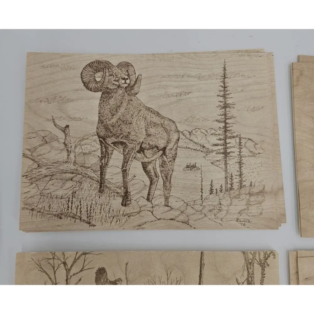 Vintage Wildlife Animal Art Print Stationary Blank Note Cards Artist Bob White